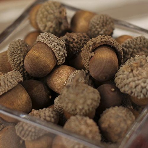 Factory Direct Craft Nutty-Brown Artificial Acorns with Natural Acorn Caps for Thanksgiving Table Decoration, Fall Crafting, and Autumn Decorating