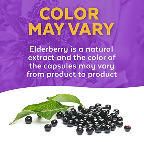 Viva Naturals Sambucus Elderberry With Vitamin C, Zinc, Vitamin D3 5000 Iu & Ginger (120 Capsules) - Antioxidant & Immune Support Supplement, 2 Month Supply - 5 In 1 Black Elderberry For Adults #TOP6