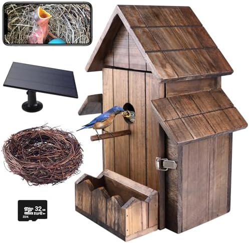 Amazon.com: Birdhouse Camera, Birdhouse with 1080P Night Vision Camera