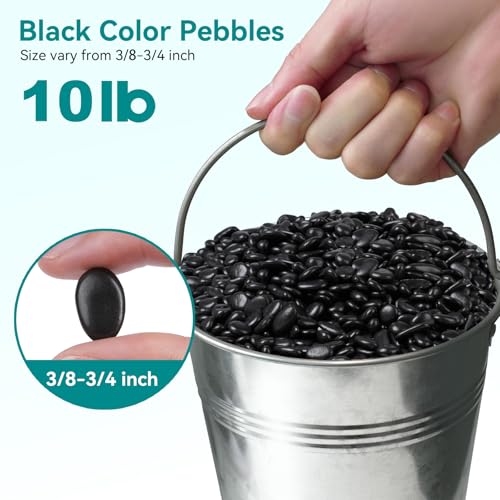Image of 10 lbs Black Pebbles for Indoor Plants, 3 /8 inch Small Rocks for Plants Indoor, Succulent, Bamboo, Vase, Decorative Black River Rocks Pea Gravel, Highly Polished