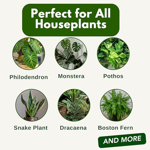 Fertilizante Concentrado Líquido 16oz para Plantas de Interior miniatura 6