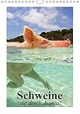 Schweine auf den Bahamas! (Wandkalender 2018 DIN A4 hoch): Schwimmende Schweine im Dauerurlaub auf den Bahamas (Monatskalender, 14 Seiten ) (CALVENDO ... [Kalender] [Apr 01, 2017] Stanzer, Elisabeth - Elisabeth Stanzer