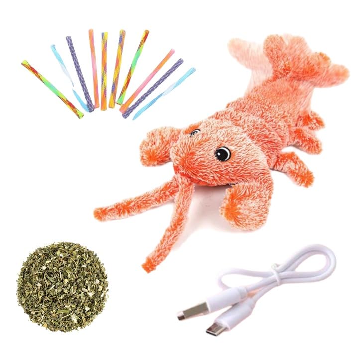 Jouet interactif pour chat homard automatique CHICNEST avec plumes