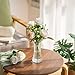 Glasseam Glass Vase for Home Decor: Clear Flower Vases for Living Room Kitchen Bathroom Wedding Table Centerpieces - 7.5