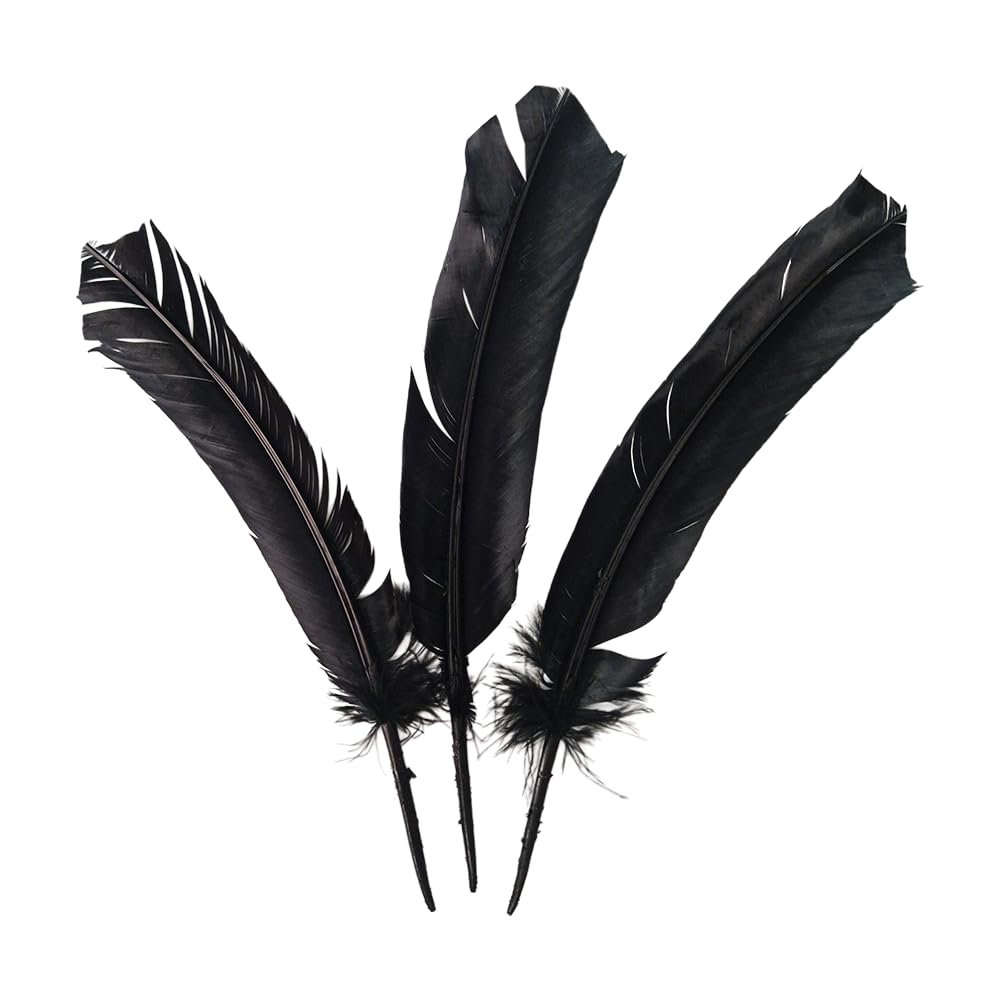 Turkey Feather Black, Pack of 3