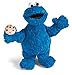 NICI 41970 Peluche garnissage : ouate de Rembourrage 100 % Polyester Oreiller en Plastique Sesamstrass, Monstre à miettes Bleu 70 cm