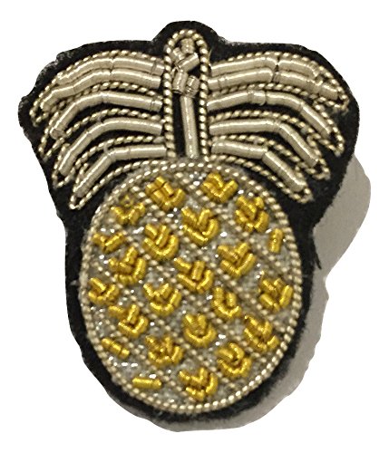 Coolorfool Pins brodé Main en Fil métal Haut de Gamme Ananas Cover