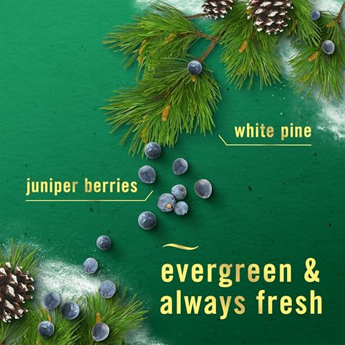 Febreze White Pine & Juniper Berry (Formerly Winter Spruce) - image 4