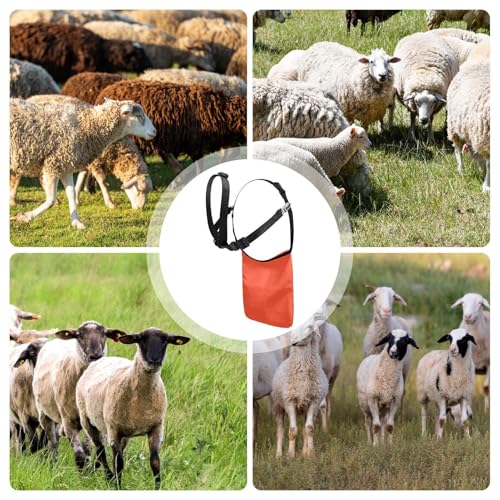 Tablier anti-élevage pour moutons avec sangle réglable - 4
