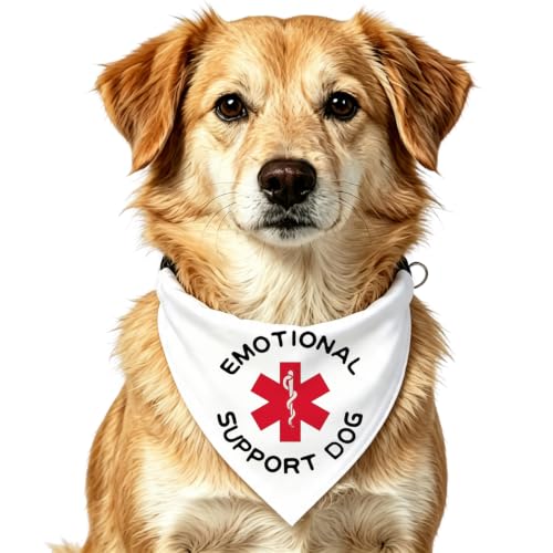 bandana chien collet ajustable soutien émotionnel
