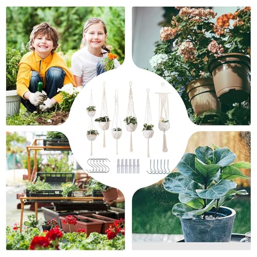 Pots de fleurs suspendus pour valoriser les coins vides du salon