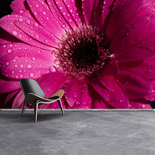 Papier Peint Moderne Tulup Gerbera Violet Masquage Défauts Mur 250x104cm