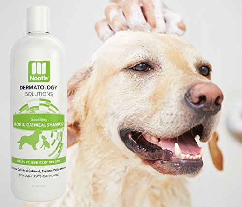 Nootie Dog Shampoo With Soothing Aloe Best For All Pets Including Dogs, Cats, And Horses - 100% All Natural Deodorizing Soap Free Formula - Clear, 16 Fl Oz (Pack Of 1), Sao16 #TOP6