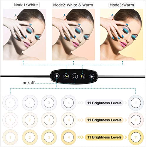 image for Gincleey LED Ring Light Stand 6“,11 Level Brightness 5 Colors Selfie