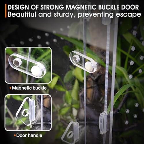 Image of Acrylic Jumping Spider Enclosure - Insect Terrarium for Spiders, Mantises, Tarantulas & Frogs