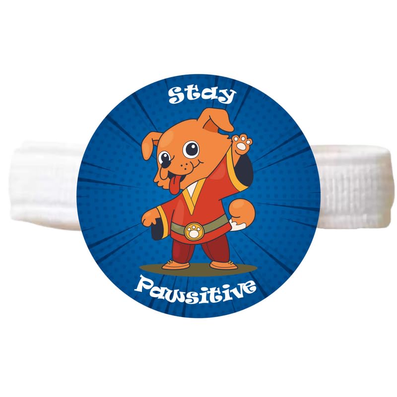 TheYaYaCafe Dog Rakhi Rakshabandhan Gifts for Pets Paw Accessories - Stay Pawsitive (B0CFVS6XGF) Amazon Price History, Amazon Price Tracker