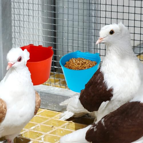 30 peças de copos de gaiola para pássaros, tigela alimentadora de frango, rega, gaiolas de arame, ca