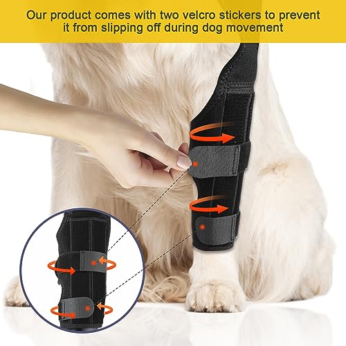 KINBOM Hunde Kniebandage Hinterbein, Hunde Hinterbein Bandage Hunde-ACL-Klammer Hinterbein Hunde-Kniestütze für Hunde-ACL-Klammer Hinterbein (Schwarz, Größe M)