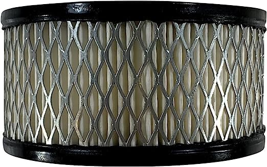 Rolair R431 Air Intake Filter - Replacement -2 Rolair R431 Air Intake Filter - Replacement -2