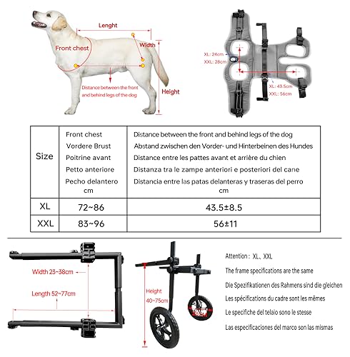 Folding and Adjustable Two-Wheel Pet Pram, Wheelchair for Dogs, Rear Limb of Pet Rehabilitation, Grey,XL - Image 4