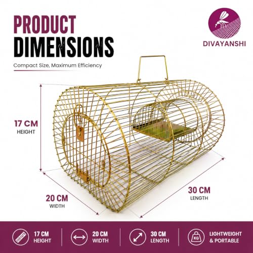 Image of Divayanshi Heavy Duty Rat & Mouse Trap Cage | Strong Iron Wire Pinjara for Catching Small & Large Rats | Safe Reusable Chuha Trap for Home, Warehouse, Food Units & Hotels