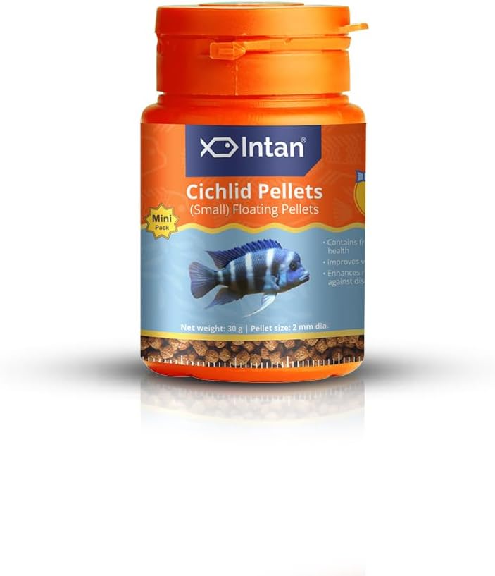 Intan Cichlid Pellets (Small 2mm Floating) | 30gm - Highly Nutritious Ornamental Fish Food for All Varieties of Small & Big Cichlids | Growel Feeds