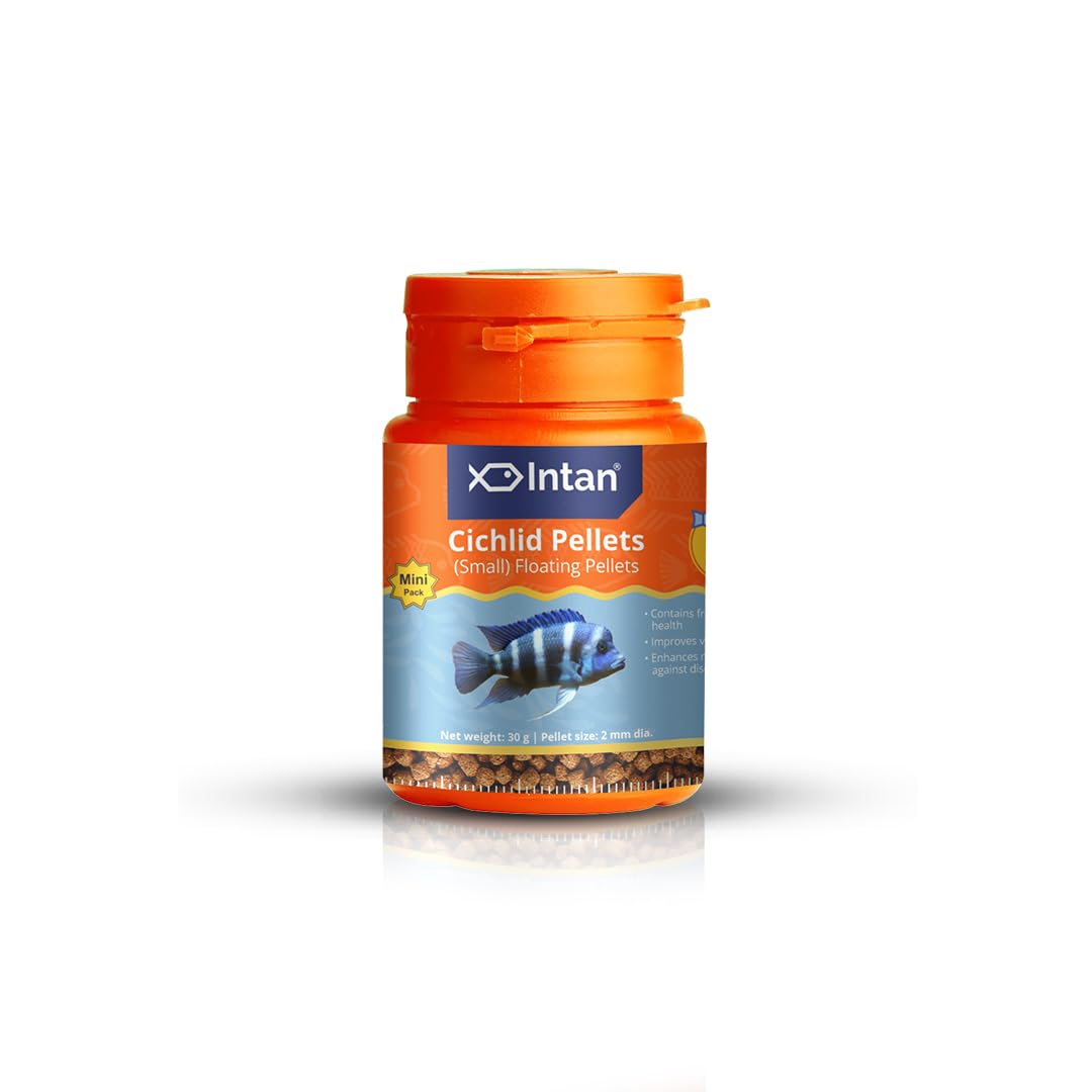 Intan Cichlid Pellets (Small 2mm Floating) | 30gm - Highly Nutritious Ornamental Fish Food for All Varieties of Small & Big Cichlids | Growel Feeds