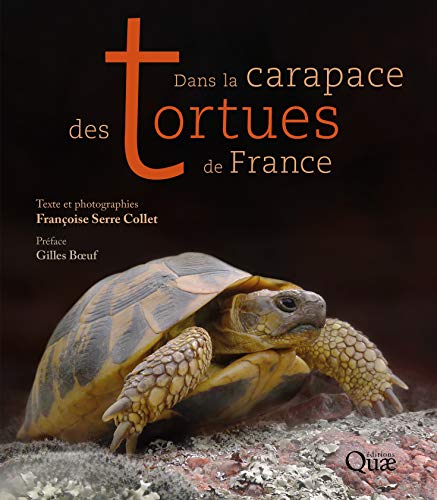 Télécharger Dans la carapace des tortues de France Livre PDF Gratuit