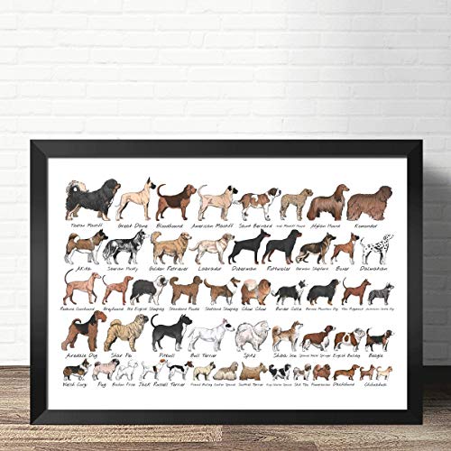 QINGRENJIE Wall Art Picture Canvas Print Poster Razas de Perros El Diagrama de Dog Art Canvas Poster Pictures para la decoración de la Sala de Estar 42 * 60Cm sin Marco Cover