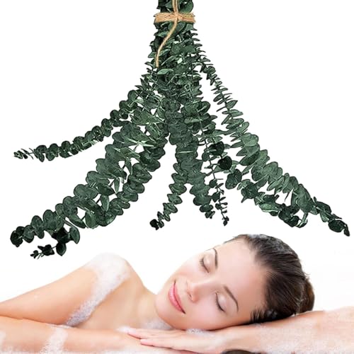 Planta de vegetación de ramas de eucalipto fresco - 10 piezas Tallos de eucalipto secos naturales | Relajante ducha ducha colgando eucalipto | Tallos de eucalipto de ducha
