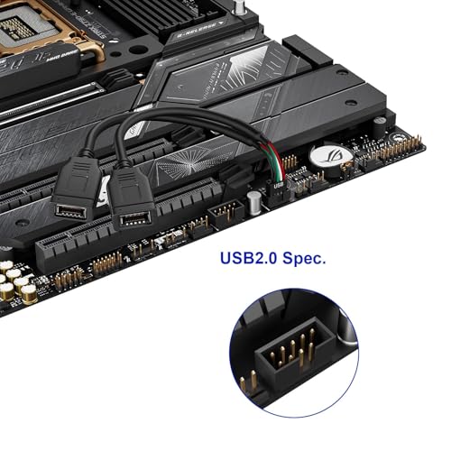 Image of Motherboard 9pin USB 2.0 to Dual Type C Cable for PC New Case | USB2.0 Header to 2 Type E Adapter, For New PC Case