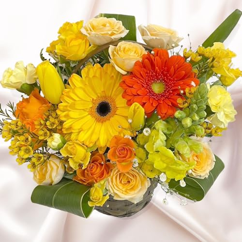 ������ �A�����W�����g ���� �y�I�ׂ�J���[ �G�߂̂��� L�T�C�Y�z �؂�� �A�����W ���� �M�t�g �v���[���g �a���� ��̓� �L�O�� ���j�� �t�����[�A�����W�����g ���F