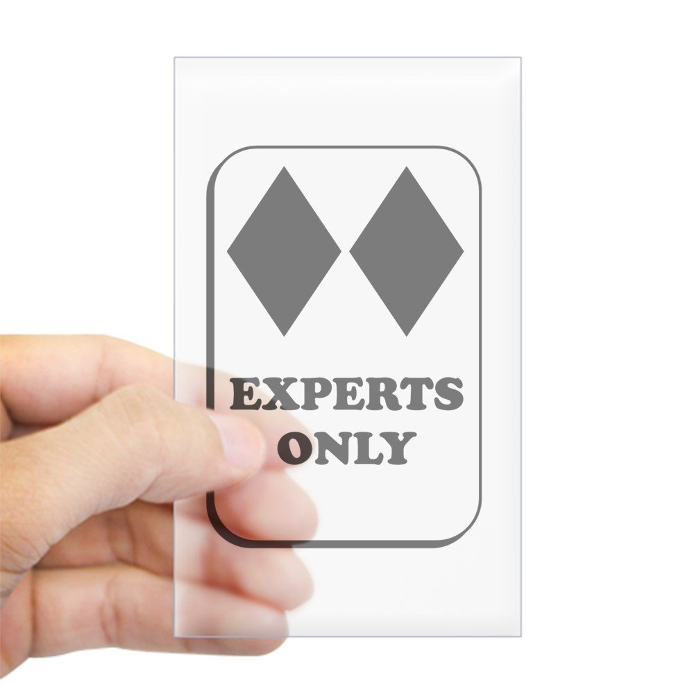 CafePress Experts Only Rectangle Bumper Sticker Car Decal