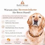 Bernsteinkette Hund | Verstellbares Bernsteinhalsband für Hunde & Katzen mit Lederband | Hundehalsband