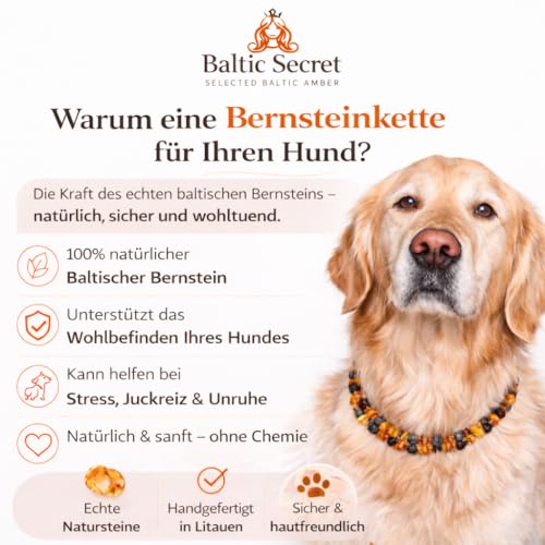 Bernsteinkette Hund | Verstellbares Bernsteinhalsband für Hunde & Katzen mit Lederband | Hundehalsband