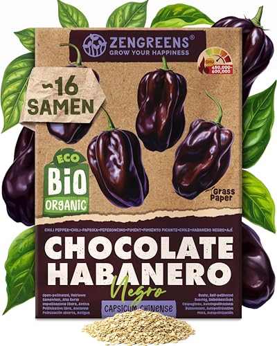 ZenGreens - Bio Chocolate Habanero Samen (Negro) - Chocolate Habanerosamen - Chilisamen für den einfachen Anbau im Garten Balkon oder Hochbeet - Gemüse Saatgut