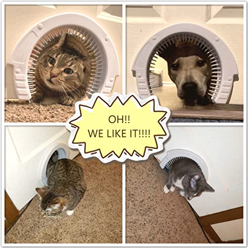 FICUSWIN Cat Door Interior Door, Pet Door with Removable Cleaning Grooming Brush, Large Pet Cat Pass for Adult Cats up… - Image 7