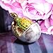 Waltz&F Bejeweled Turtle in Hatching Egg Trinket Jewelry Box Crystal Diamond Turtle Keepsake