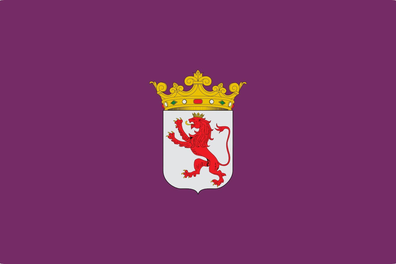 Drapeau de León grand modèle pour décoration de maison et événements