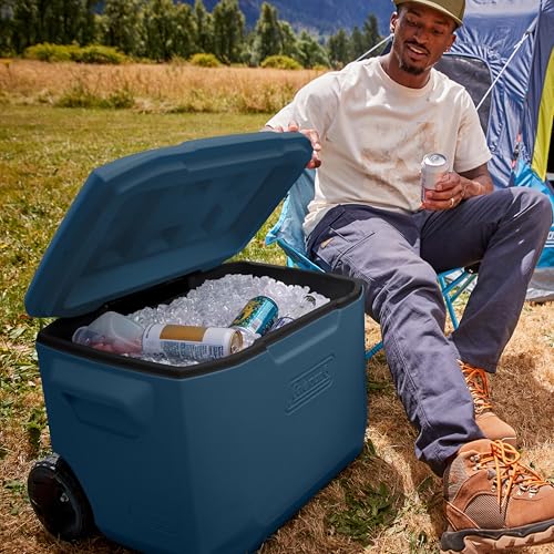 Walk-in cooler cooler King system