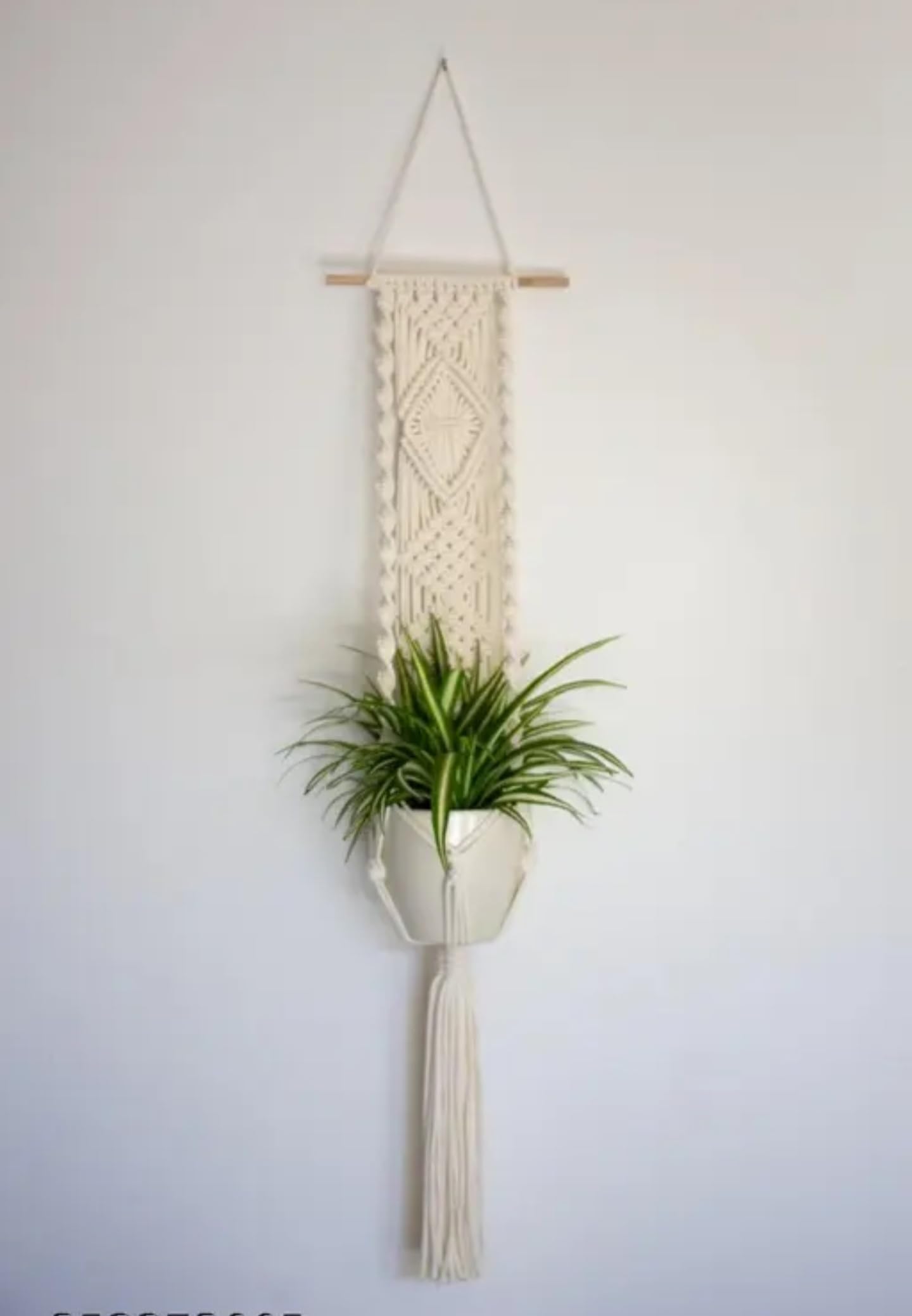 Suspension murale pour plantes en macramé, corde en coton tissée à la main avec tige en bois, décoration d'intérieur bohème, blanc crème