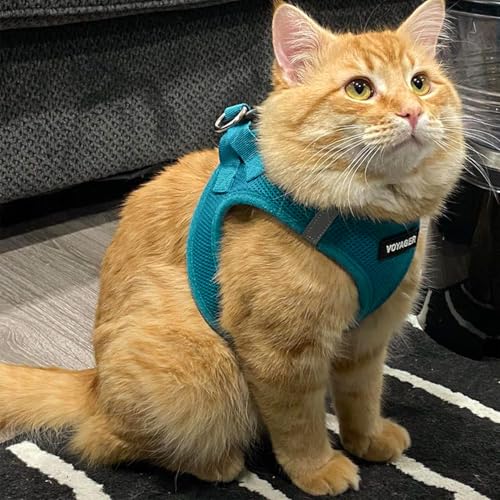 Image of Voyager Step-in Pet Harness - All Weather Mesh, Adjustable Step in Harness for Cats and Dogs by Best Pet Supplies - 307S Turquoise, M