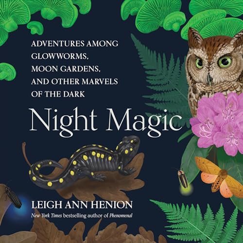 Night Magic by Leigh Ann Henion episode artwork