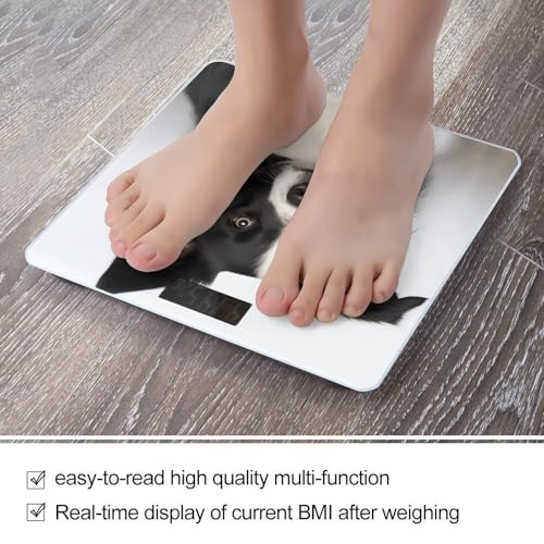 Báscula digital para baño Border Collie 400 lb miniatura 5