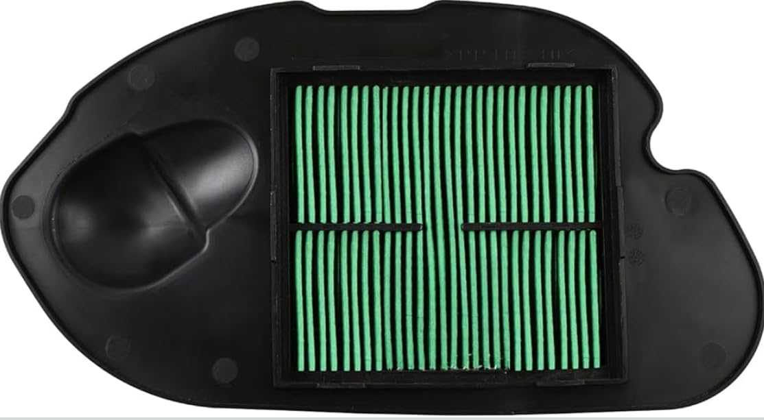 Air Filter (premium) compatible with Access New, Black Performance Filter with Green Element, Replacement Part-image-4