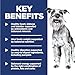 Hill's Science Diet Small & Mini, Senior Adult 7+, Small & Mini Breeds Senior Premium Nutrition, Dry Dog Food, Chicken, Brown Rice, & Barley, 4.5 lb Bag