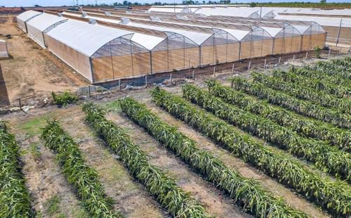 C&oacute; n&ecirc;n mua đầu tư đất B&igrave;nh Thuận năm 2021?