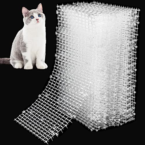 SUNCN LXLbg}bg 32 16 x 13C` XpCNtL}bg L}~}bg `NXgbvt L悯}bg K[ftFXOp -