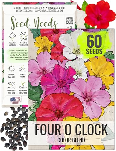 Grow Four O'Clocks From Seed: Say Hello to Beautiful Blooms - Peace ...