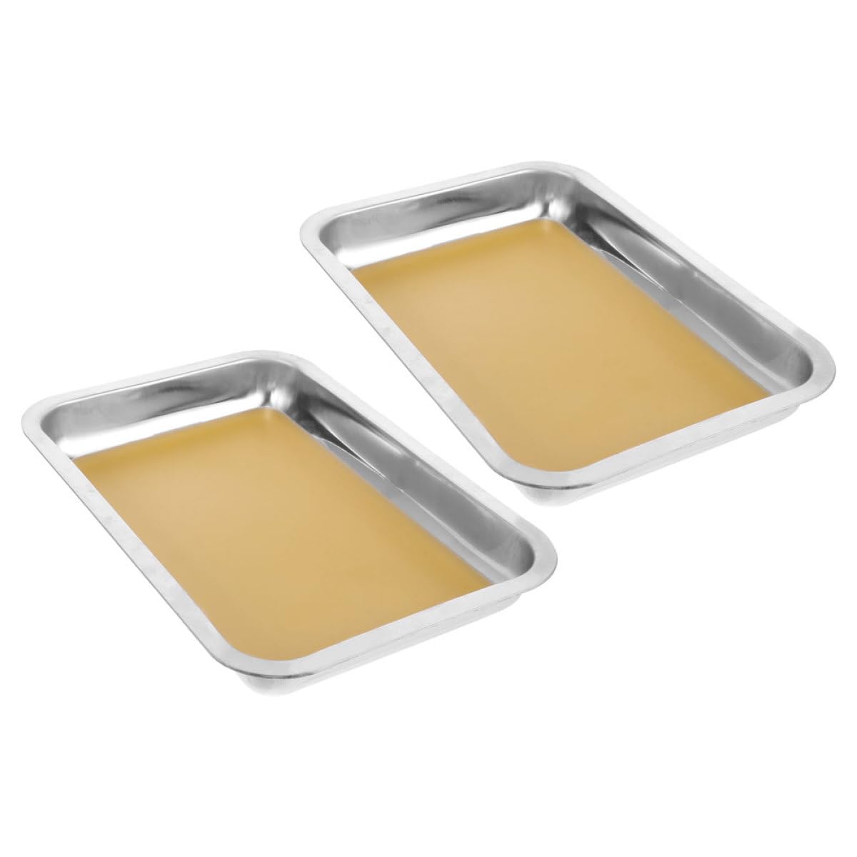 Vassoio da Dissezione A4 in Acciaio Inox Giallo, 2 Pezzi | Diagramma Anatomico Chiaro, Bordi Lisci, Pulizia Semplice, Uso Didattico per Biologia e Studio